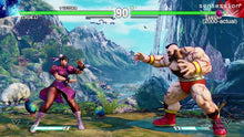 Load image into Gallery viewer, STREET FIGHTER V
